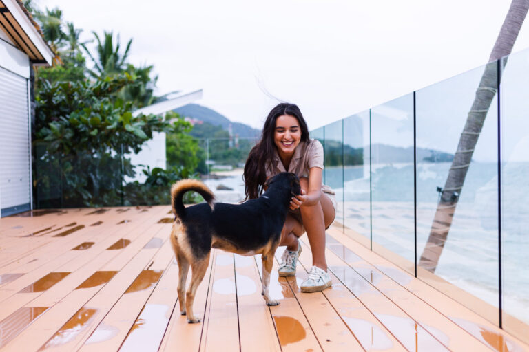 Luxury Pet Hotels in Auckland: Are They Worth It?