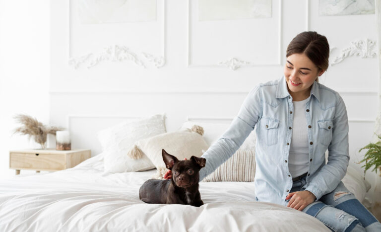 How Pet Lodging Reduces Stress in Sensitive Dogs